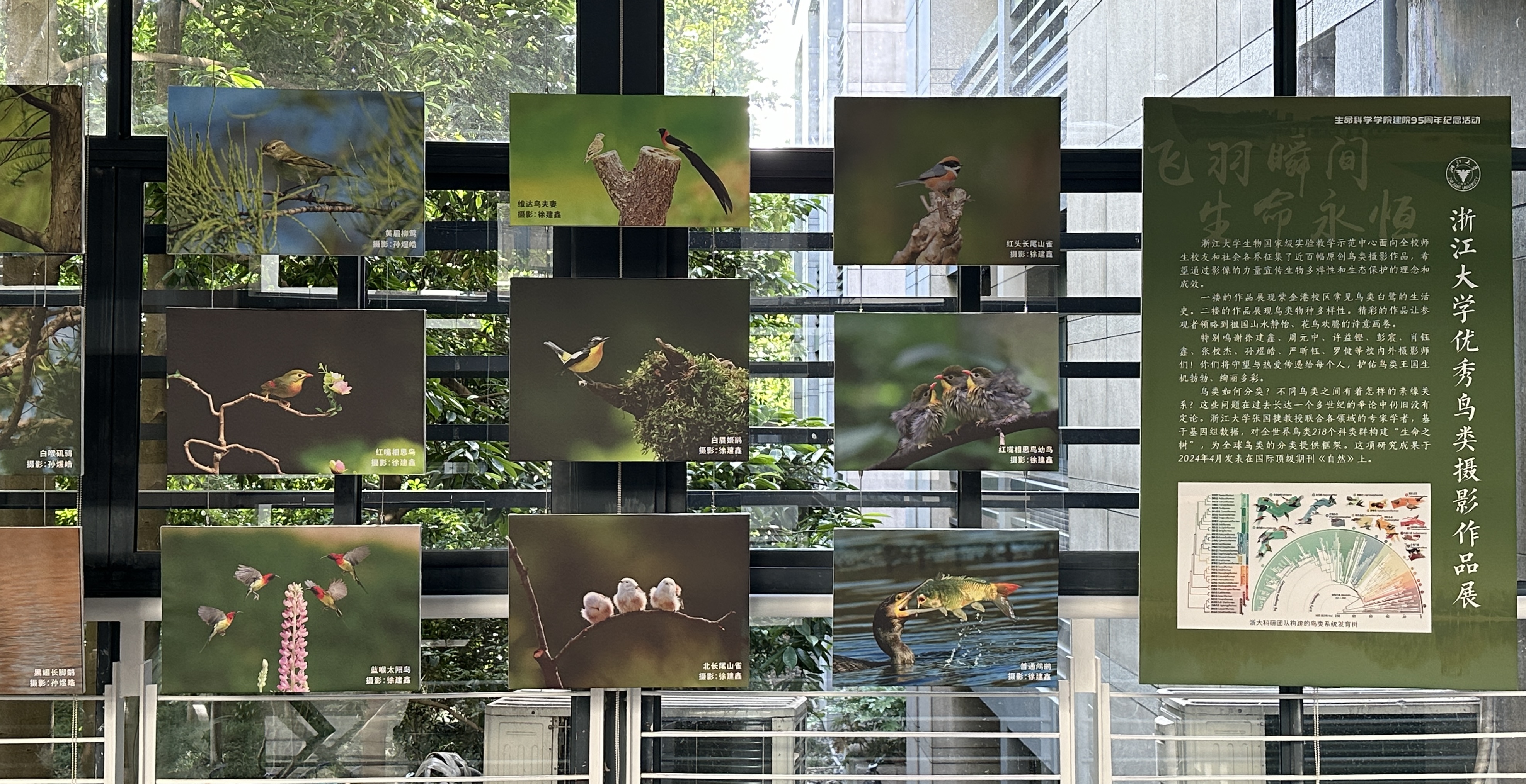 “飞羽瞬间，生命永恒”——生物实验教学中心举办鸟类摄影作品展