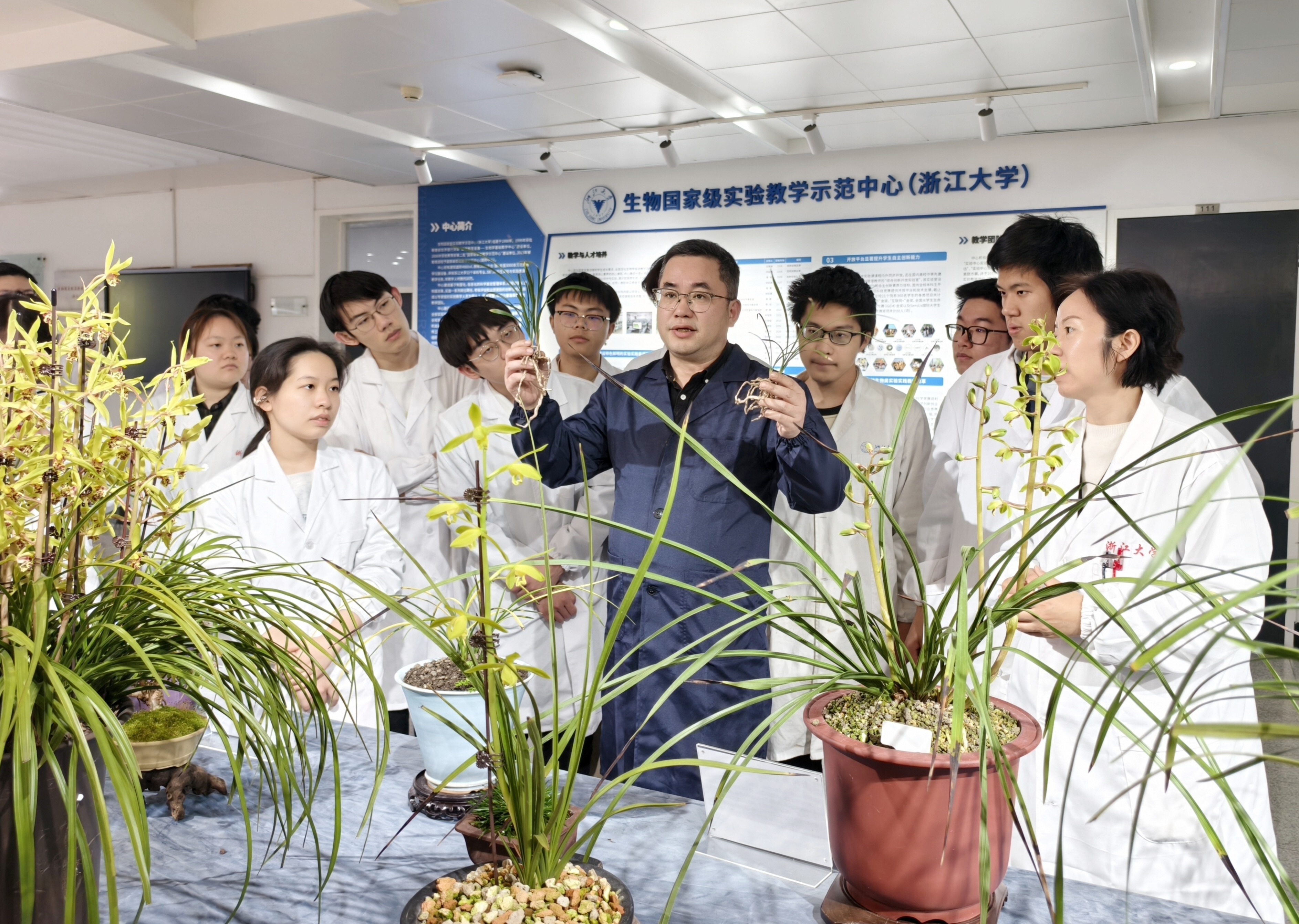 中心第二次举办蕙兰花展